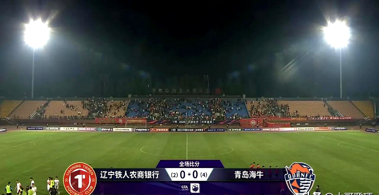 开云体育下载-沈阳城市主场战胜对手，球队贵在团结