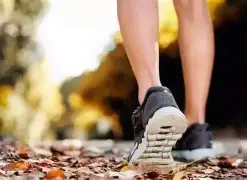 开云体育入口-步行者客场击败猛龙，继续保持稳定胜利