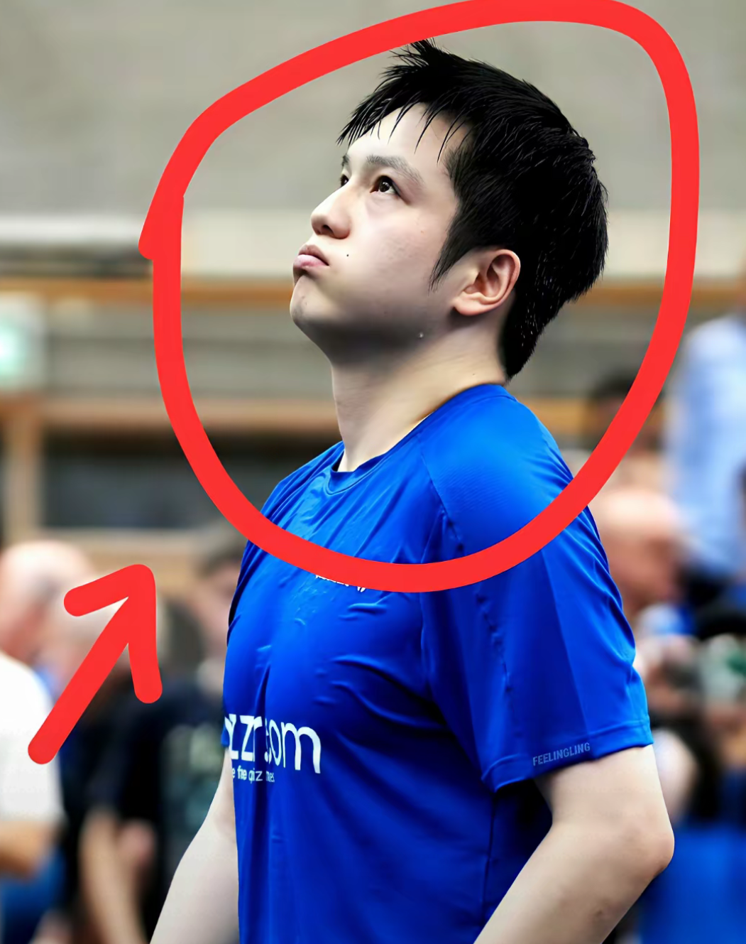 开云体育下载-瑞典队绝杀葡萄牙队，樊振东关键制胜