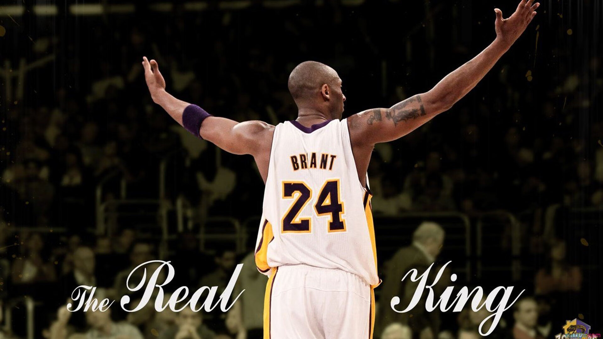 开云体育app-戴维斯杯的殿堂回响，当联合杯新秀仰望德约天神时